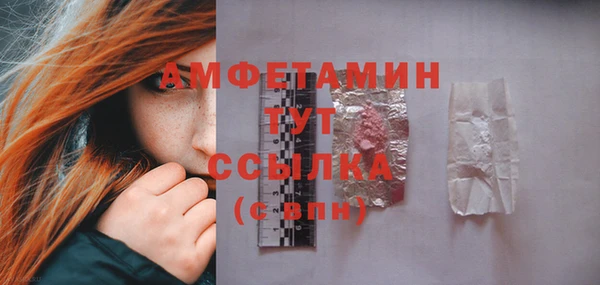 гидра Надым