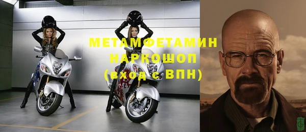 гидра Надым