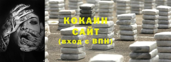 гидра Надым