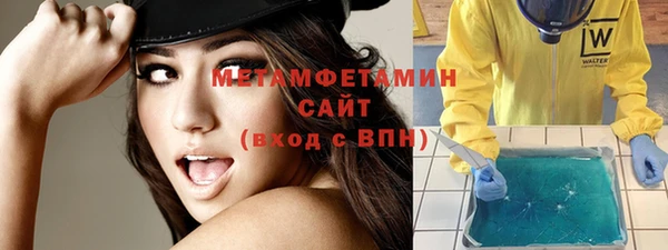гидра Надым
