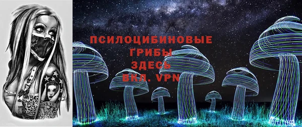 гидра Надым