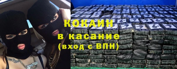 гидра Надым