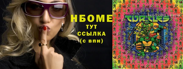 гидра Надым