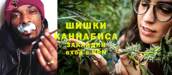 гидра Надым
