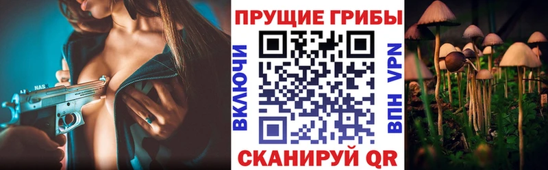 где найти наркотики  MEGA сайт  Псилоцибиновые грибы мухоморы  Томилино 